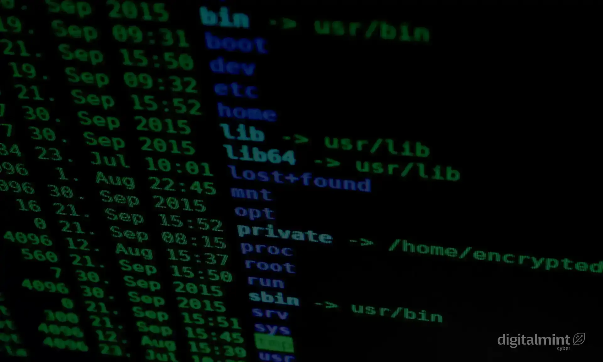 Life Without BlackCat and LockBit